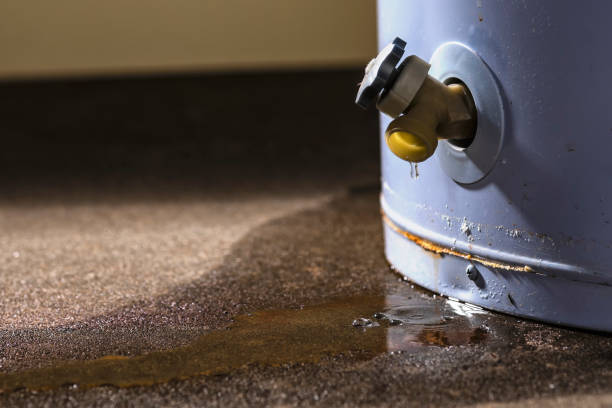 Best Flooded house restoration  in Lisbon, OH
