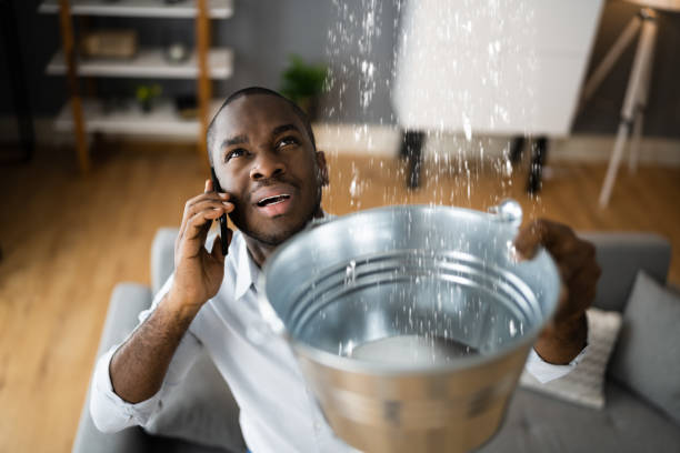 Best Basement water damage restoration  in Lisbon, OH