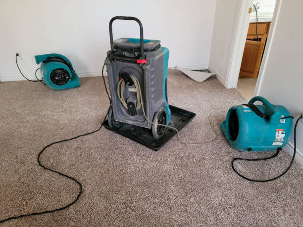 Best Professional water damage repair  in Lisbon, OH