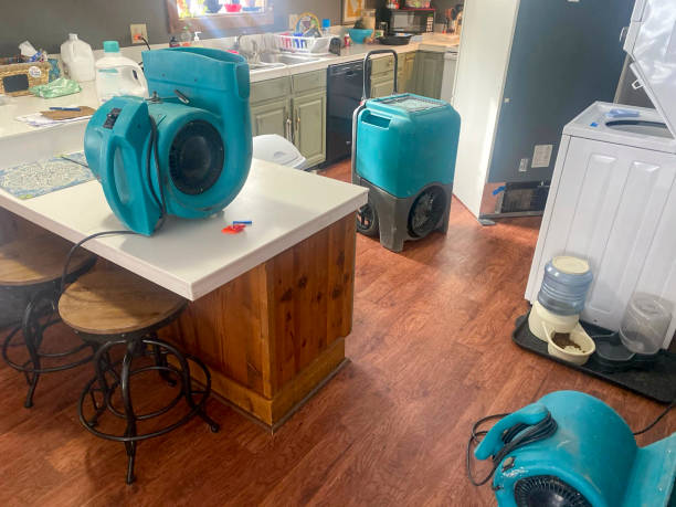 Water damage restoration experts in Lisbon, OH