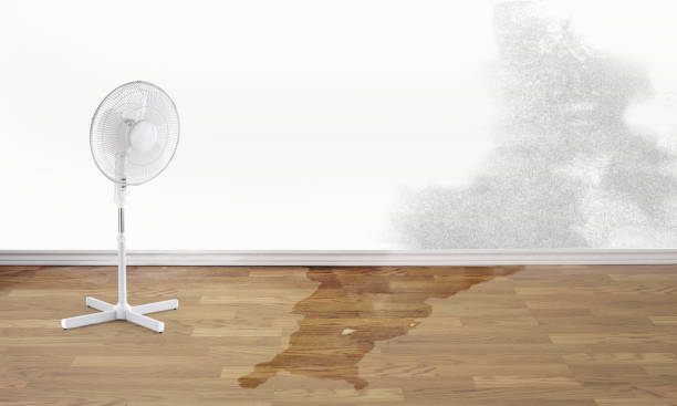 Reliable Lisbon, OH Water damage restoration Solutions