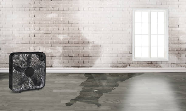 Best Commercial water damage restoration  in Lisbon, OH
