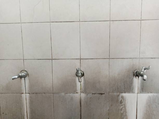 Best Flood restoration services  in Lisbon, OH