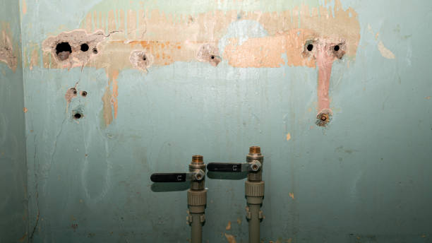 Best Flooded house restoration  in Lisbon, OH