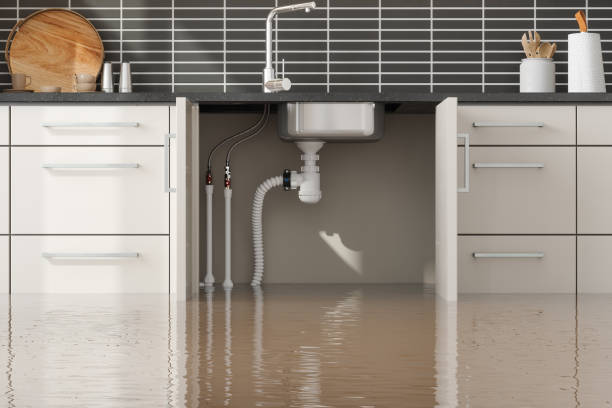  Lisbon, OH Water damage restoration Pros