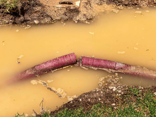 Best Residential water damage restoration  in Lisbon, OH
