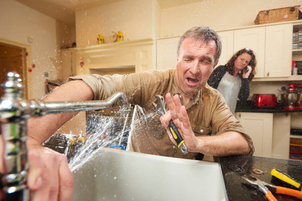 Best Mold removal after water damage  in Lisbon, OH